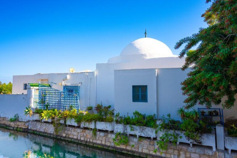 Mausoleo di Sidi Bou Said.