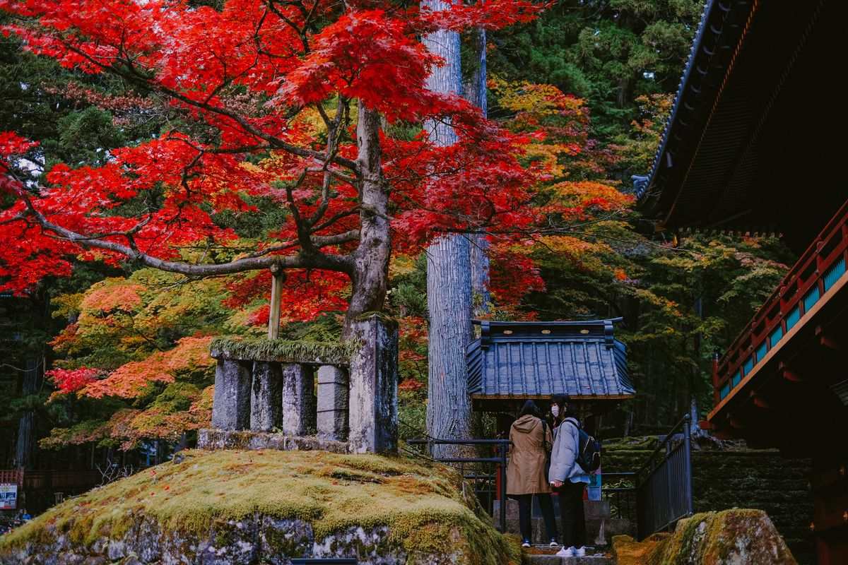 Albero dalle foglie rosse accanto a un tempio nel bosco con due persone all’ingresso