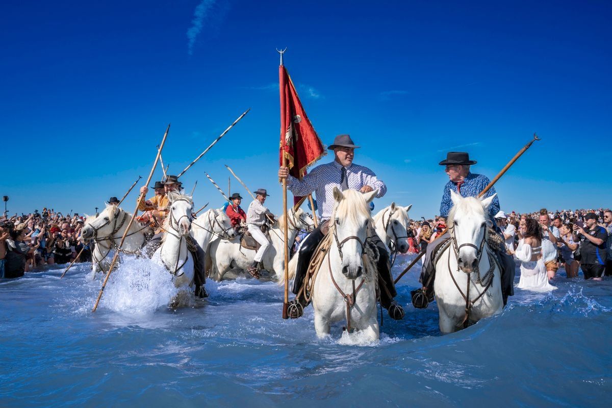 Cavalieri su cavalli bianchi attraversano il mare davanti alla folla durante una processione