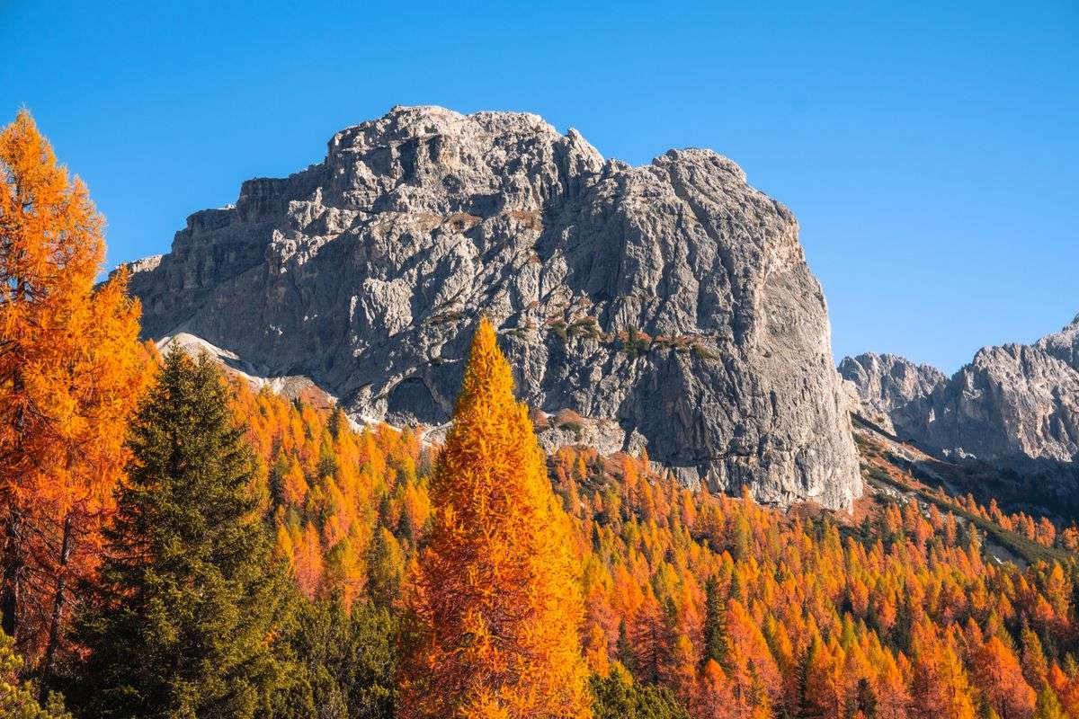 Larici arancioni ai piedi di una grande montagna rocciosa sotto cielo limpido