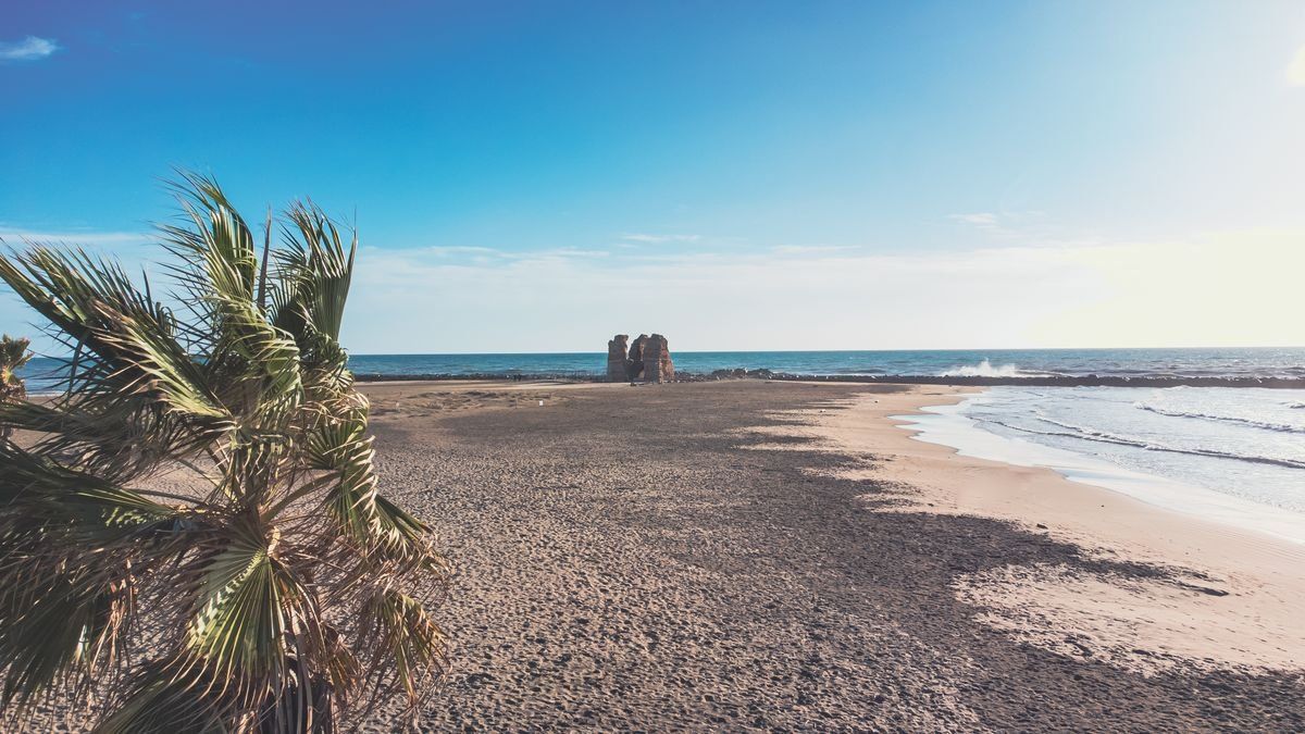 Spiaggia sabbiosa con palma in primo piano, mare calmo e antiche rovine sulla riva