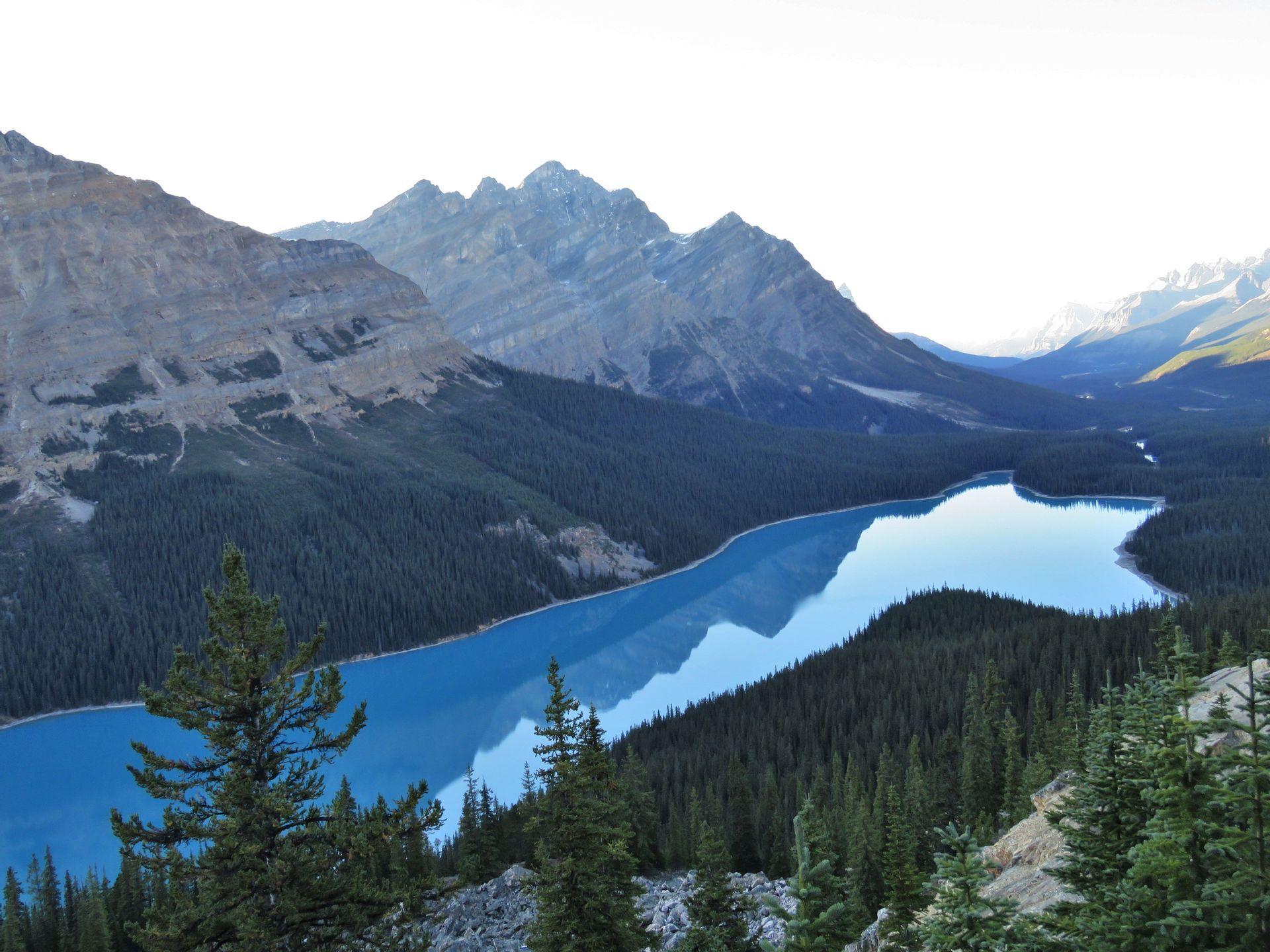 Vue en hauteur d'un lac bleu éclatant, niché dans une vallée de pins, avec les montagnes rocheuses se reflétant dans ses eaux.