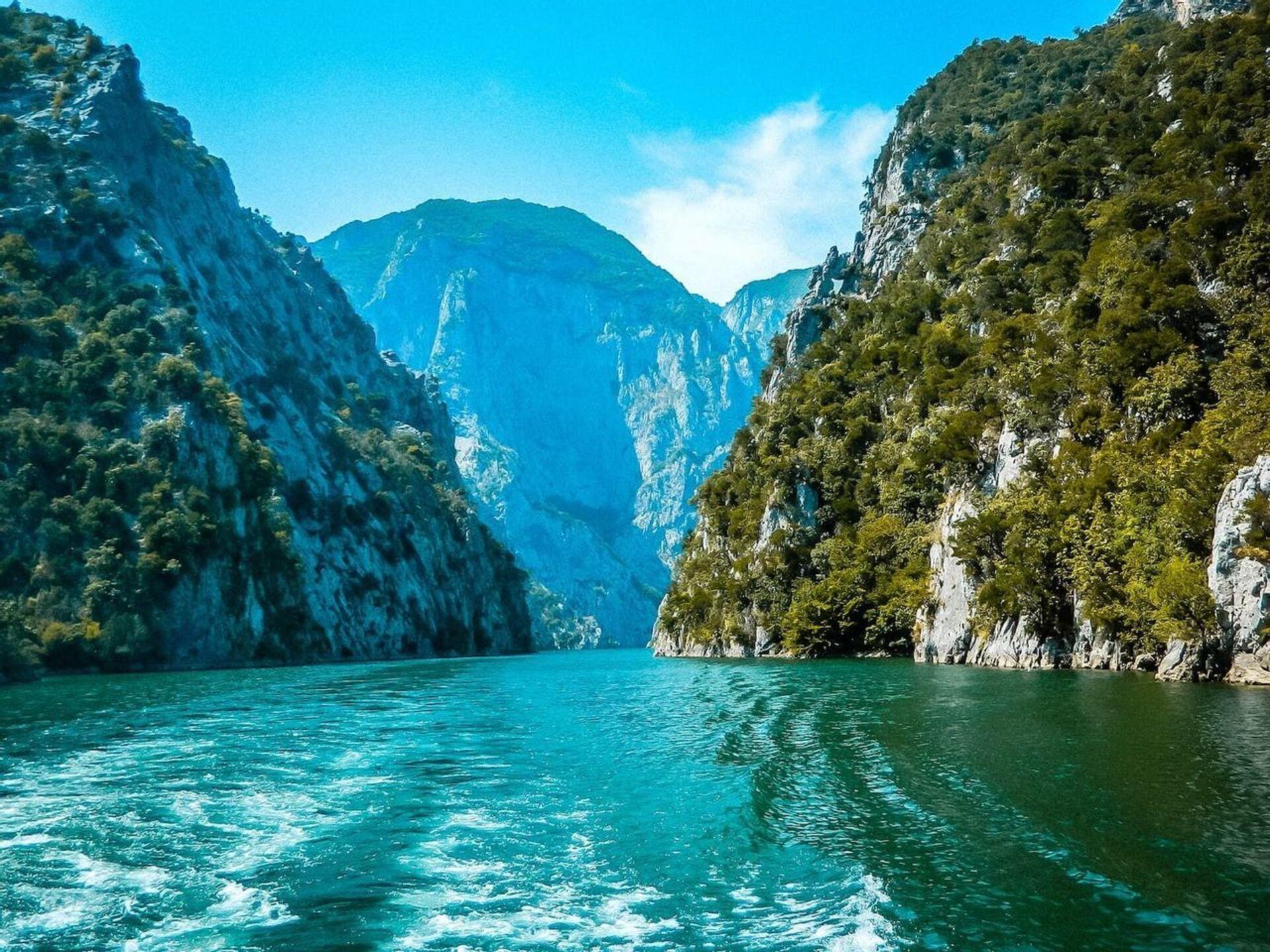 Vue depuis un bateau, de son sillage sur une eau turquoise, naviguant dans un canyon escarpé aux falaises boisées.