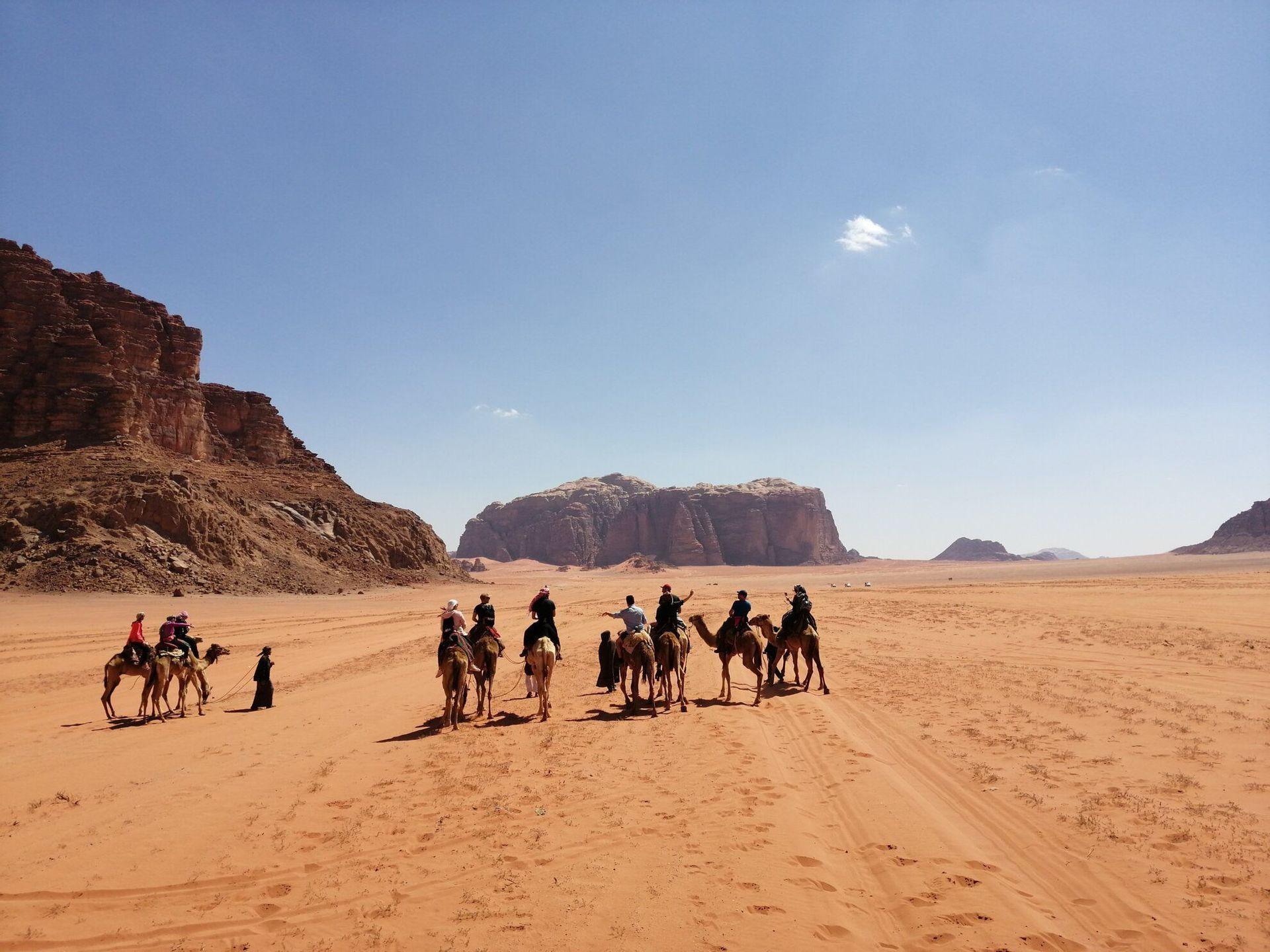 Gruppo WeRoad sui cammelli nel Wadi Rum in Giordania