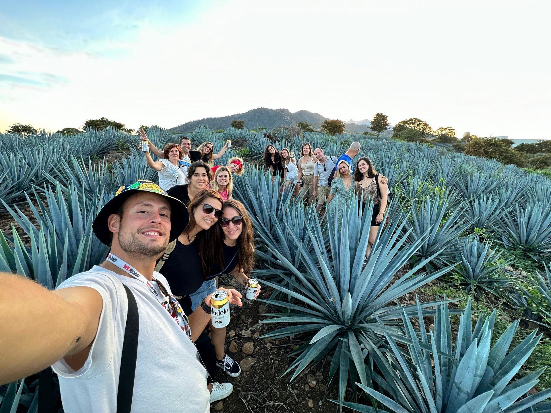 Un viaje en grupo de WeRoad se toma una selfie grupal en un gran campo de plantas de agave azul.