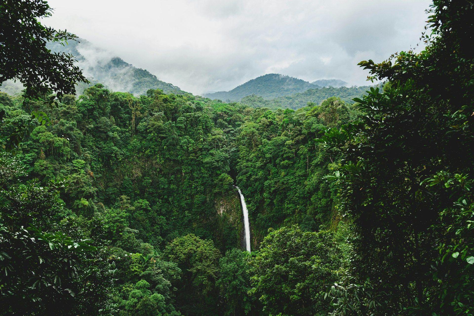 A tall, narrow waterfall cascades down a cliff face amidst a dense green jungle, with mist-covered mountains in the background under a cloudy sky.