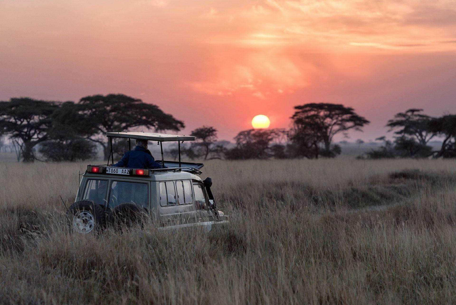 Une personne se tient dans un véhicule de safari ouvert, regardant le coucher de soleil sur une savane herbeuse avec des acacias.