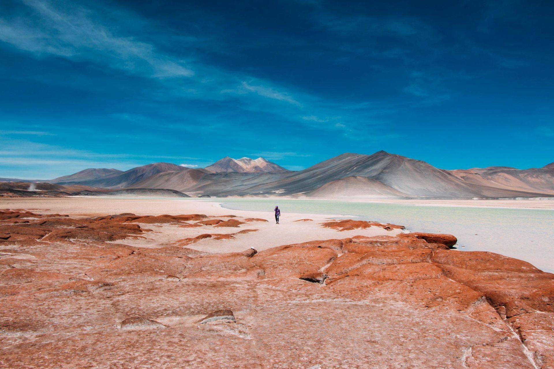Una persona si trova in un vasto paesaggio desertico con rocce rosse, una laguna verde chiaro e montagne sotto un cielo blu intenso.