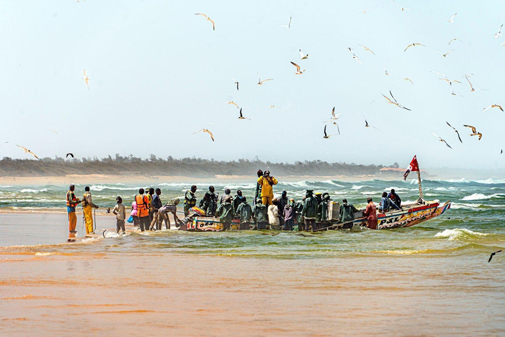 Eine Gruppe von Fischern zieht ein großes, farbenfrohes Holzboot aus dem Meer auf einen Sandstrand, während viele Möwen über ihnen fliegen.