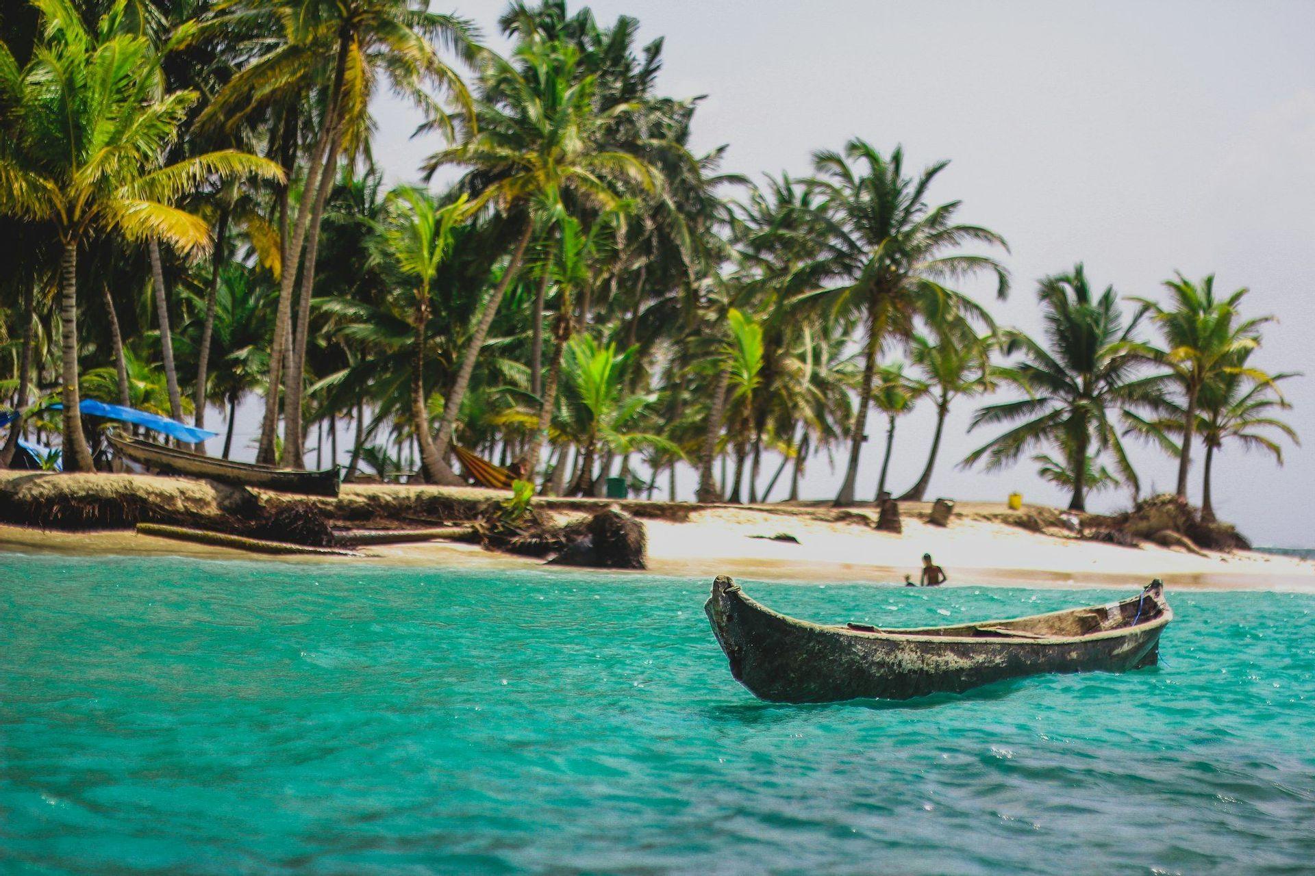 A wooden canoe floats on turquoise water in front of a sandy beach lined with palm trees.
