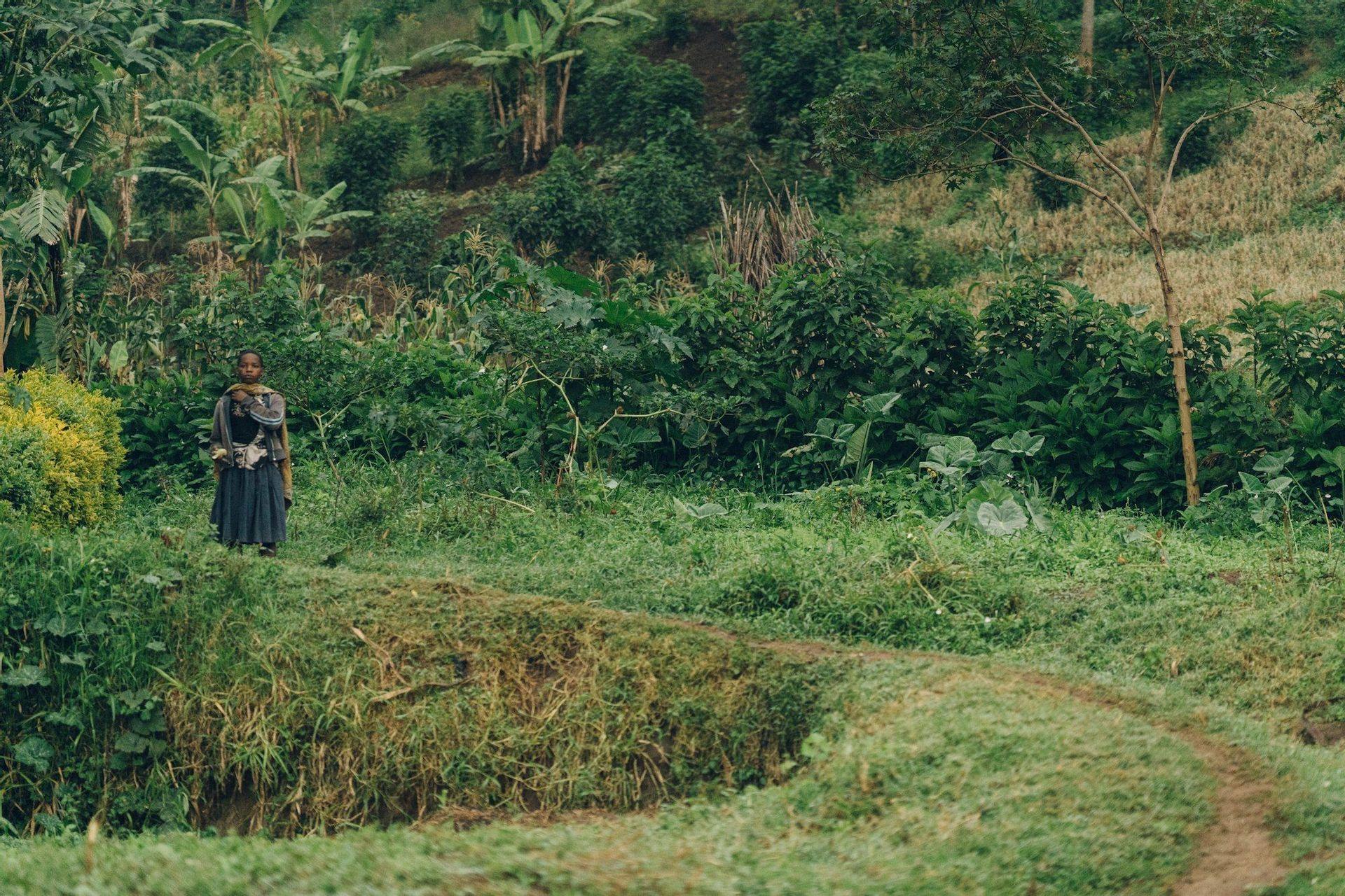 A woman carrying a baby on her back stands on a grassy knoll next to a dirt path in a lush, green, and hilly landscape.