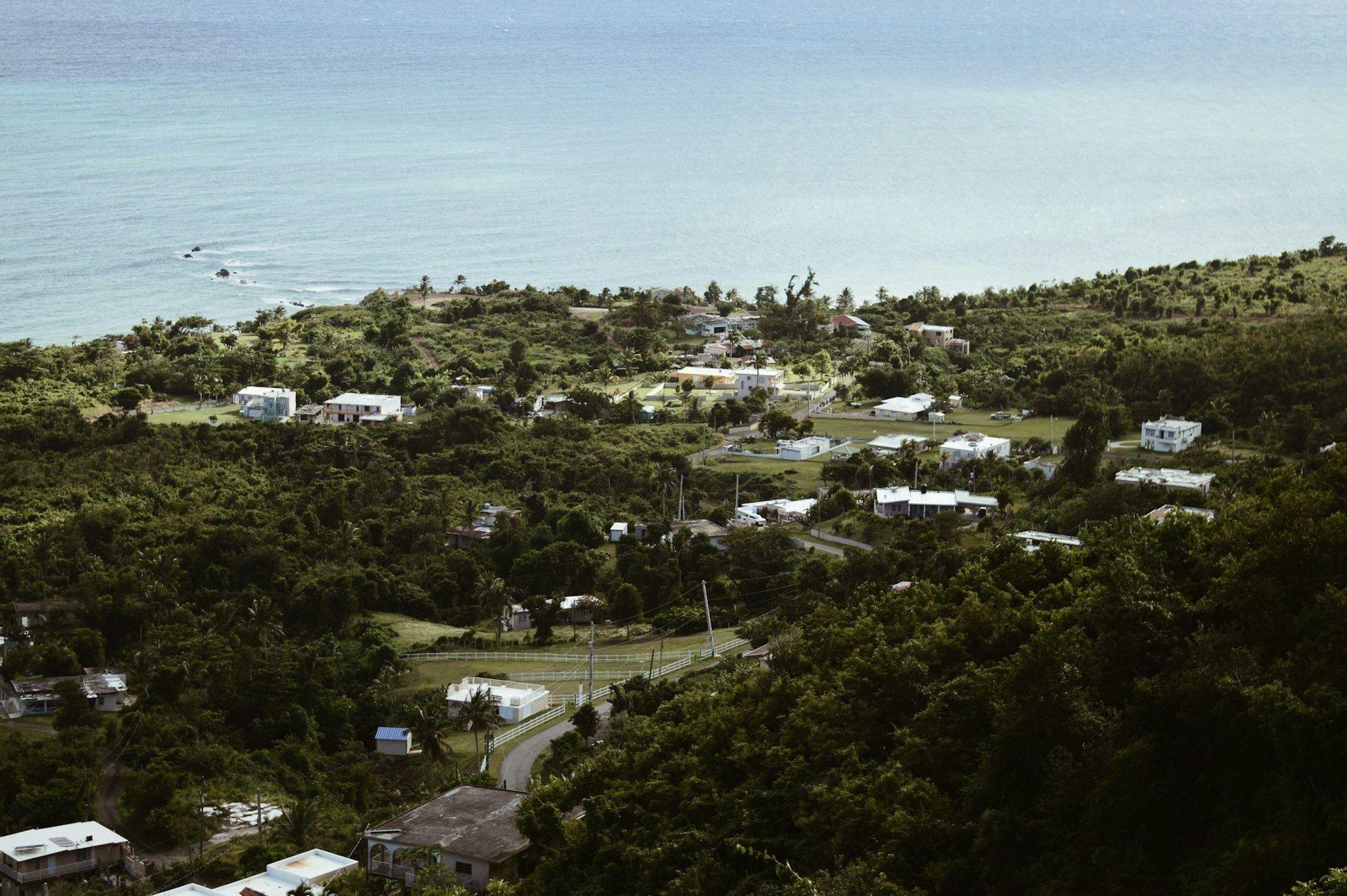 Una vista dall'alto di una città costiera con case sparse tra rigogliose colline verdi accanto all'oceano blu calmo.