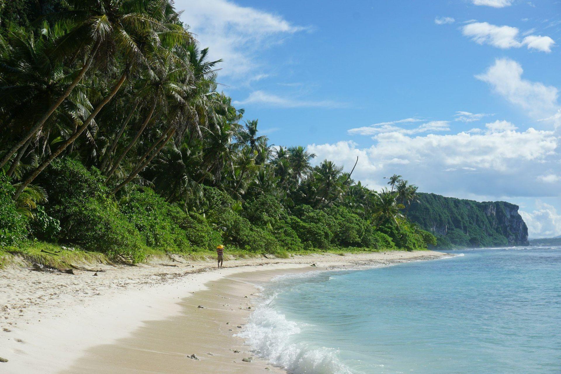 Una persona camina por una playa de arena blanca junto a agua turquesa y un denso bosque de palmeras, con un acantilado en la distancia.