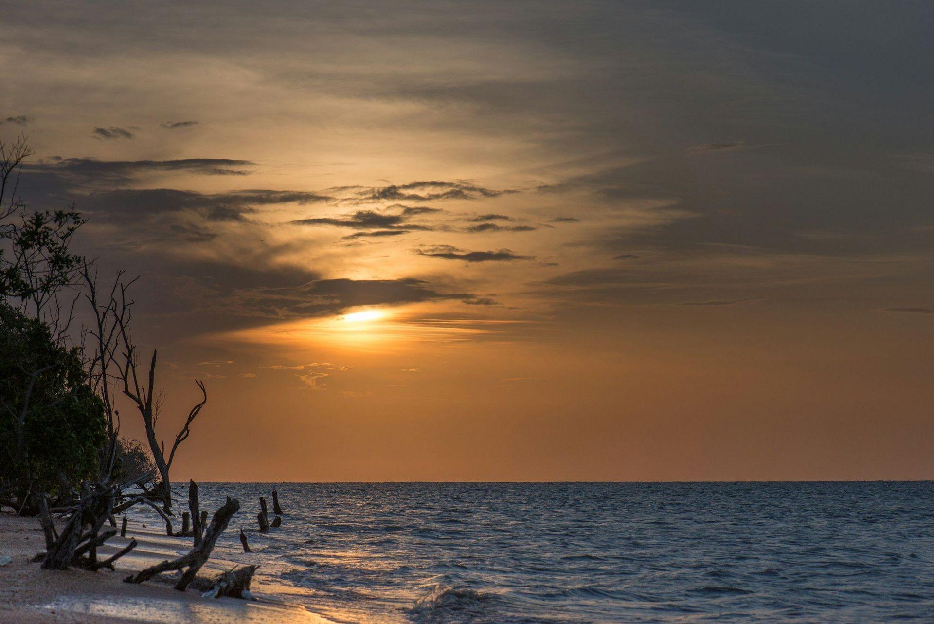 Le soleil se couche sur une mer calme, projetant une lueur orangée sur le ciel nuageux et une plage de sable avec du bois flotté.