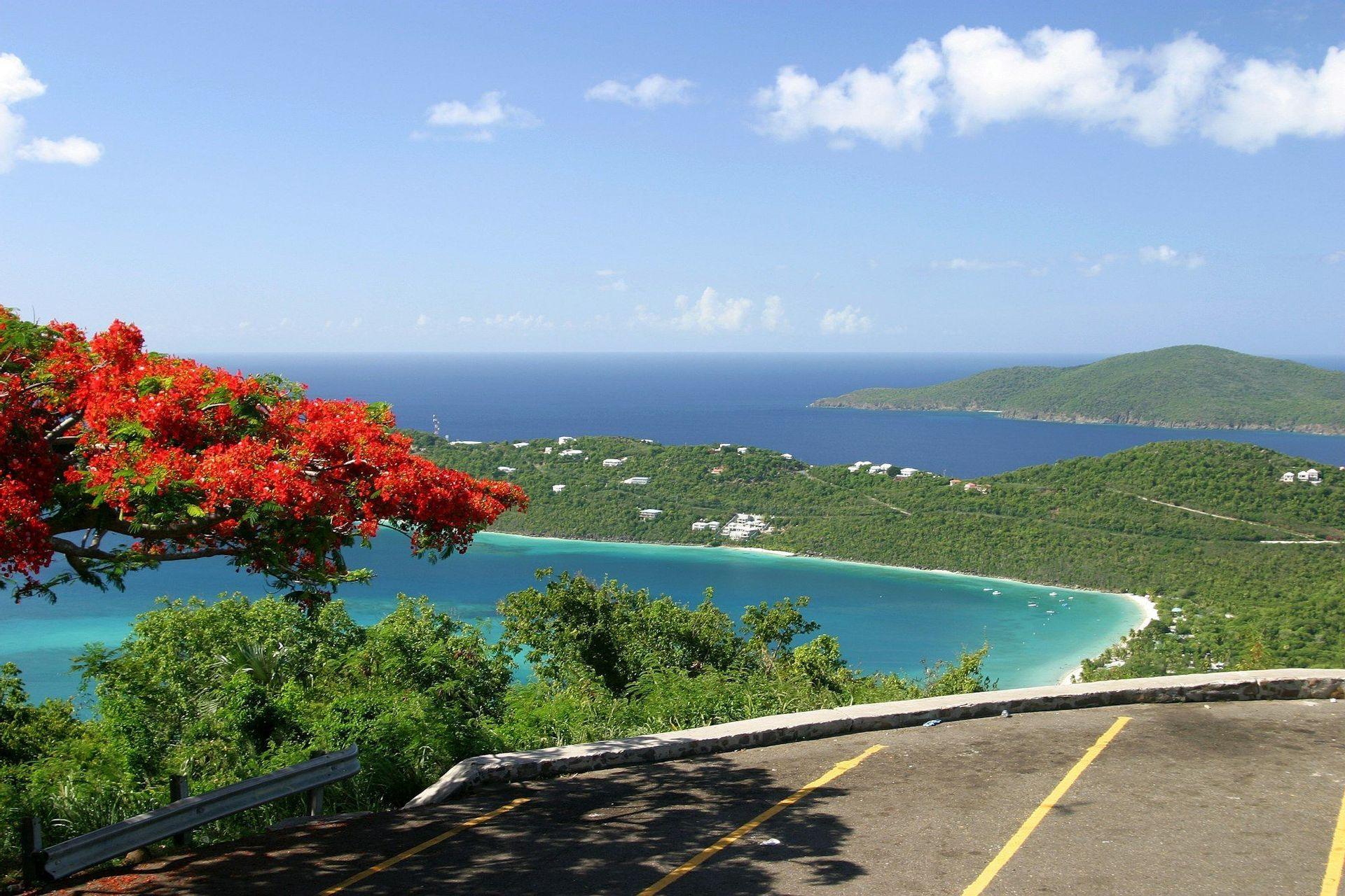 A scenic overlook with a red-flowering tree provides a panoramic view of a turquoise bay, a white sand beach, and lush green hills.