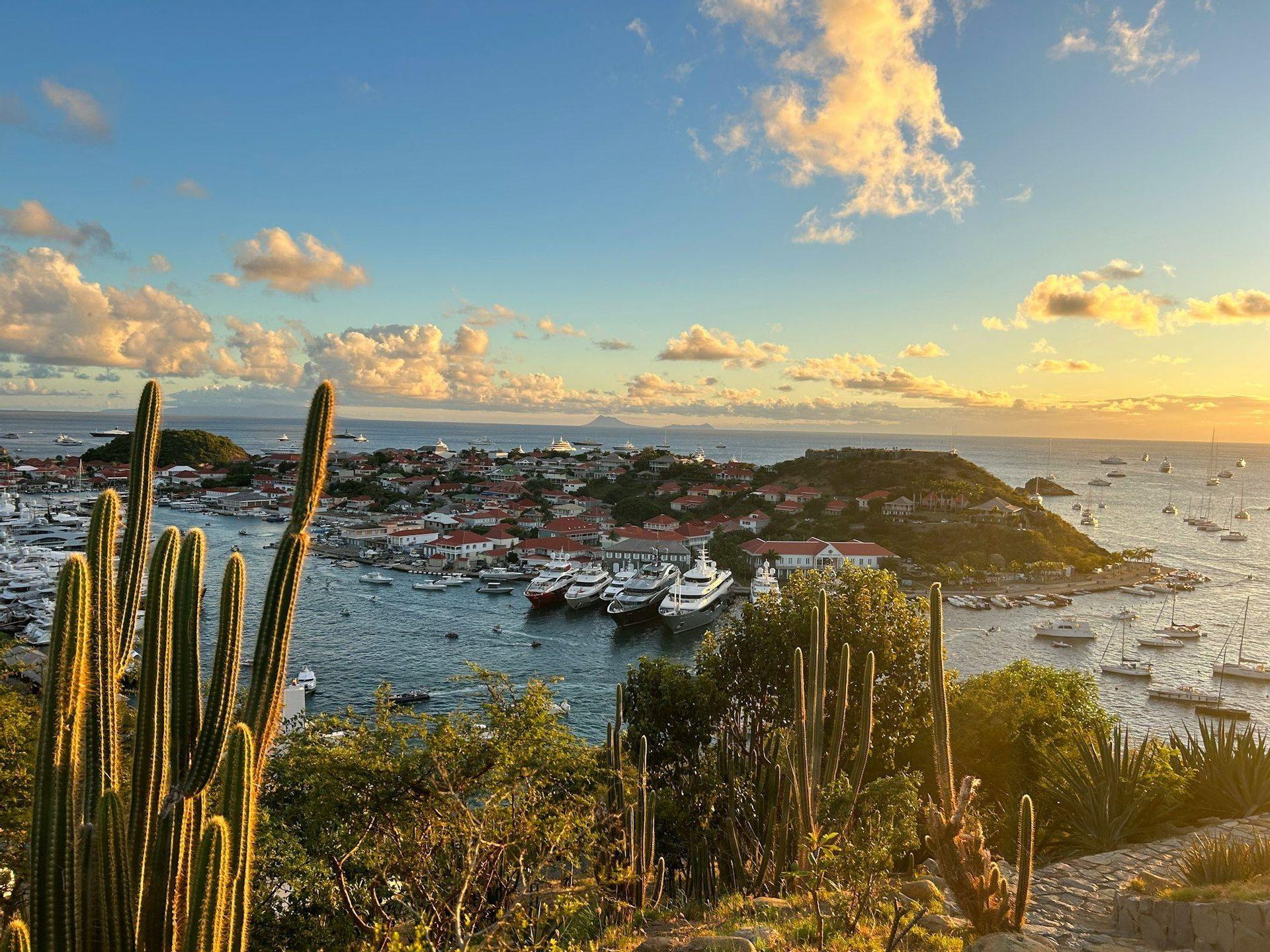 An elevated view of a coastal town's harbor filled with boats and yachts at sunset, with tall cacti in the foreground.