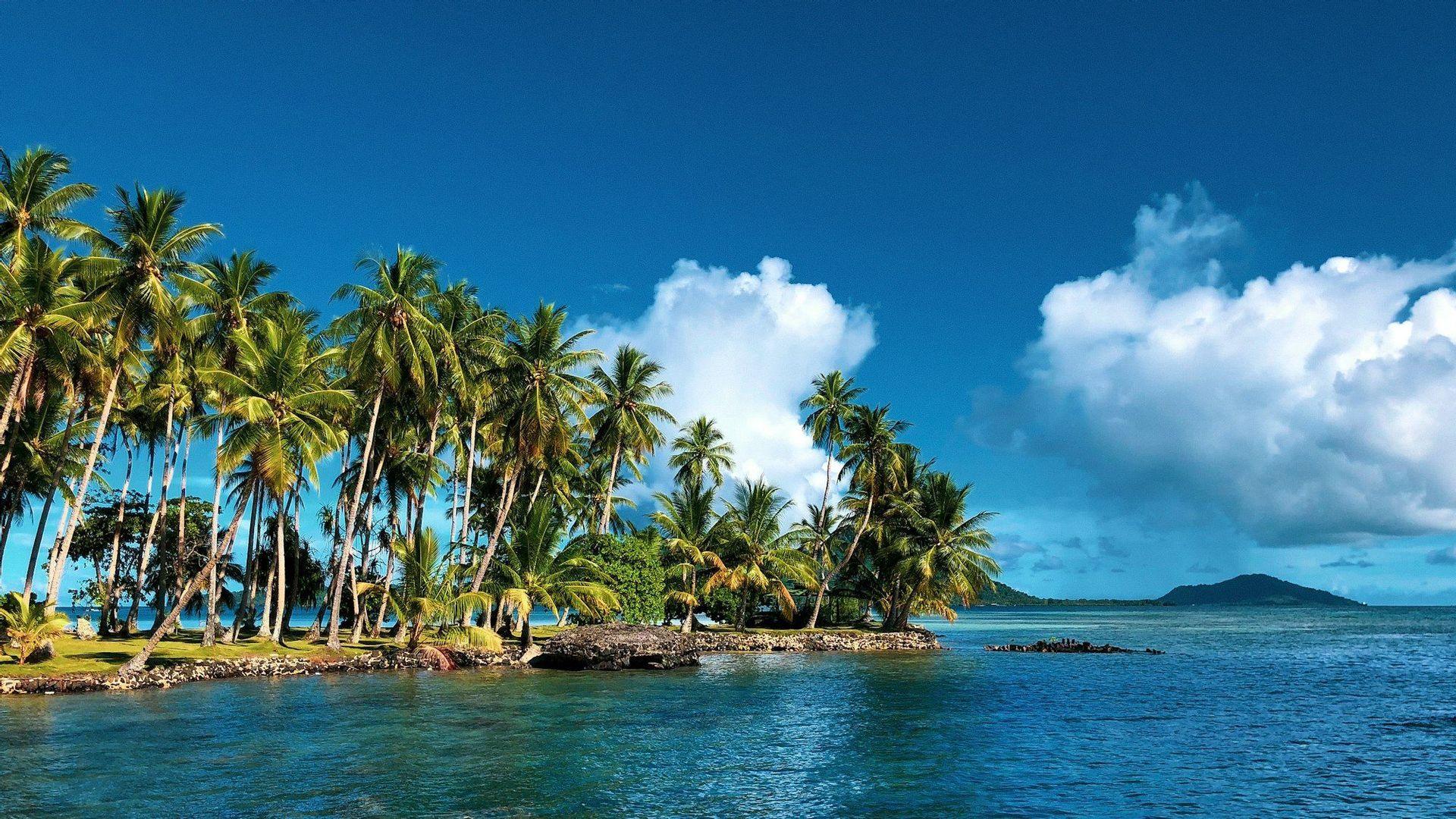A tropical island covered with tall palm trees surrounded by calm blue ocean water under a partly cloudy sky.