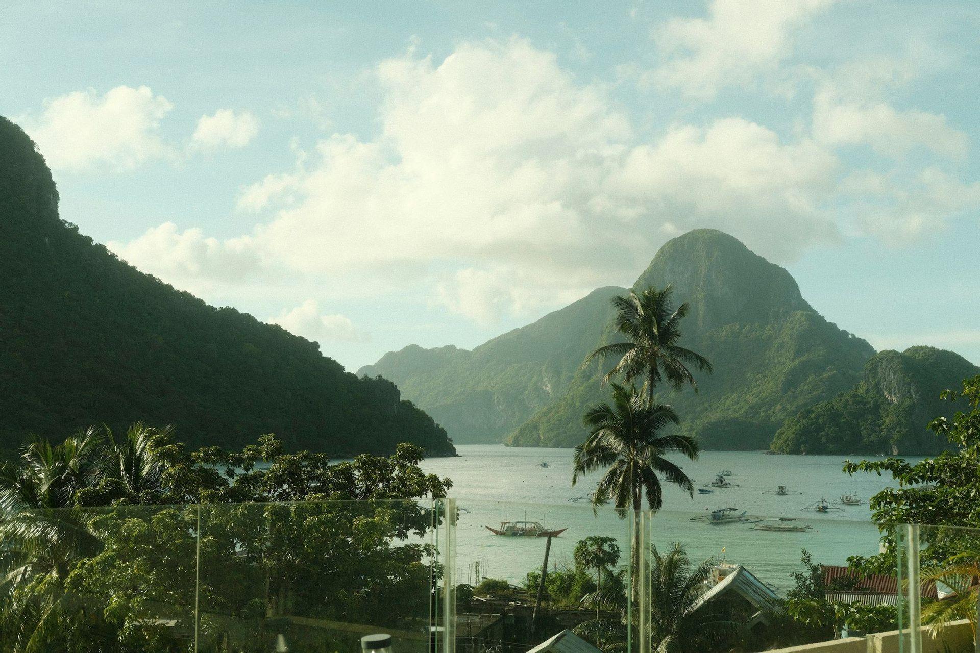 A view from a high vantage point overlooking a tropical bay filled with boats, framed by lush, green mountains and palm trees.