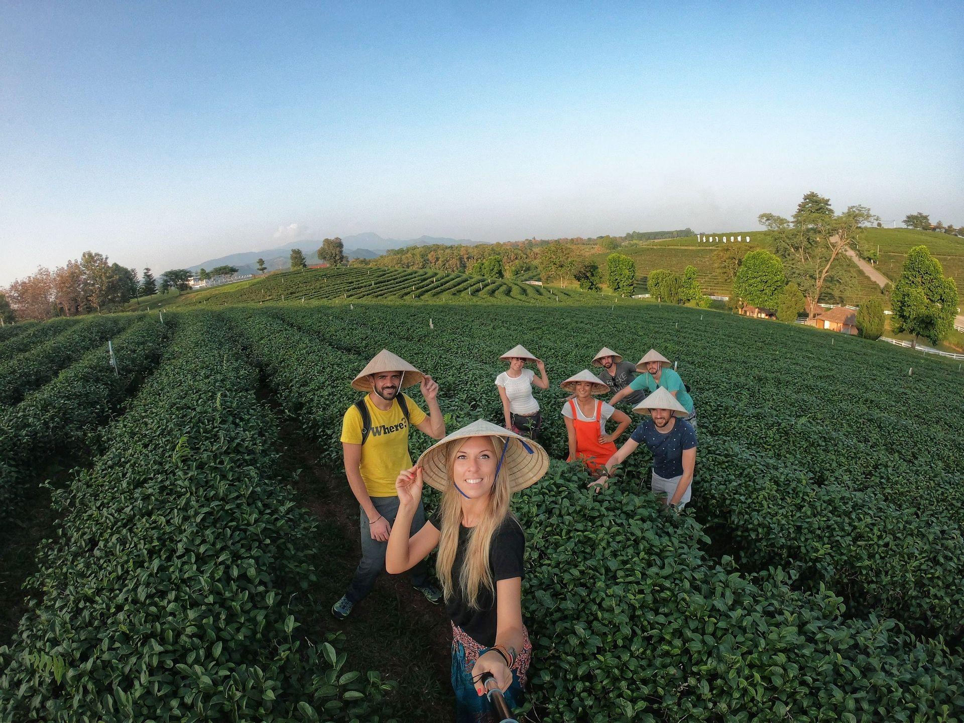 A WeRoad group trip wearing conical hats smiles for a selfie amidst the rolling green hills of a tea plantation.