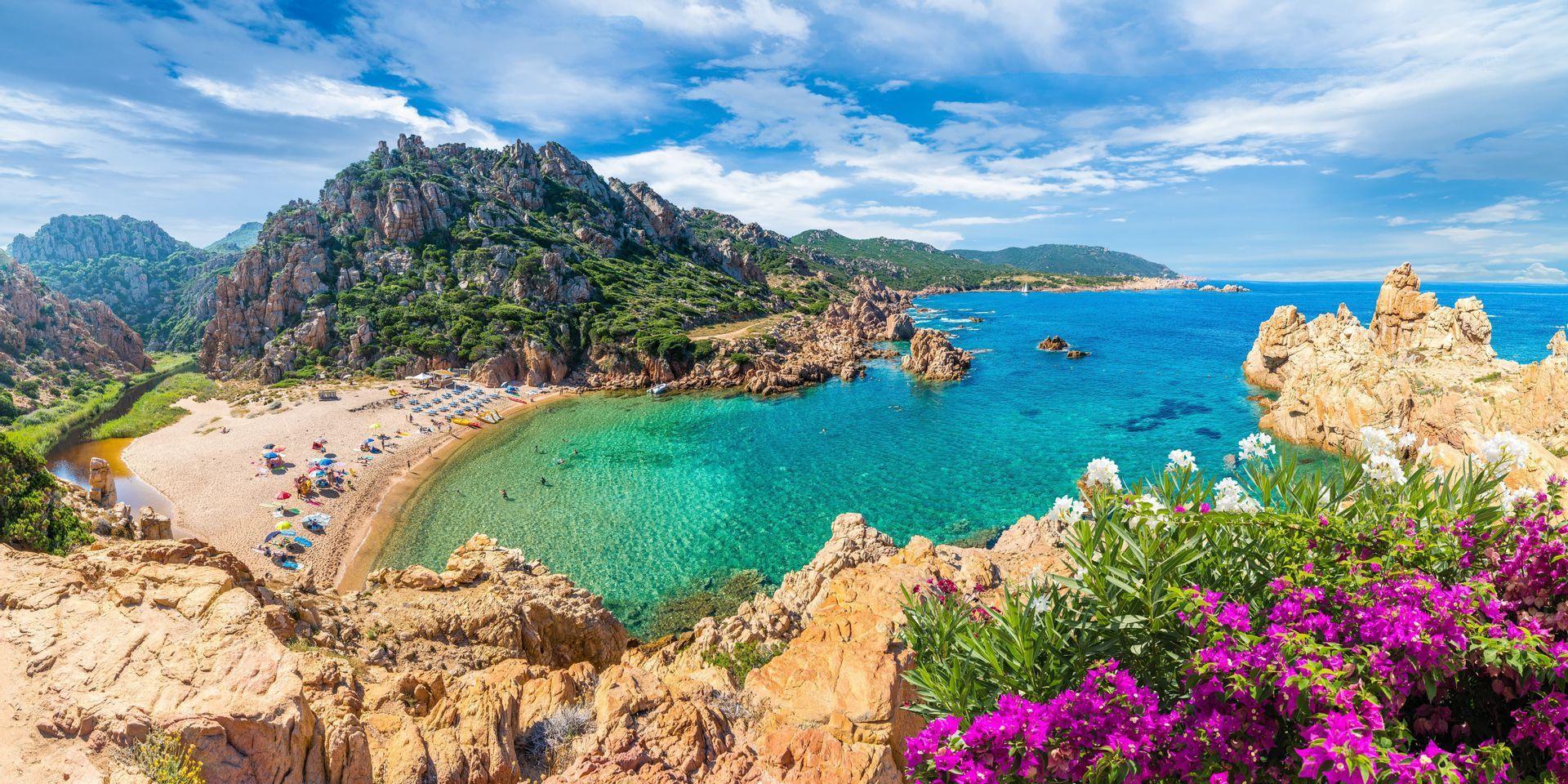 Veduta dall'alto di una spiaggia sabbiosa in una caletta rocciosa, con acqua turchese cristallina e fiori viola in primo piano.