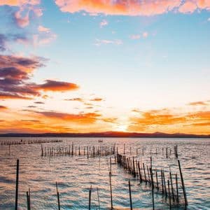 Pali di legno per reti da pesca si ergono nell'acqua sotto un vibrante cielo al tramonto con nuvole rosa e arancioni.