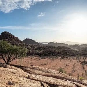 Un albero verde solitario su un fianco roccioso domina una vasta valle arida con montagne sotto un sole splendente e un cielo blu.