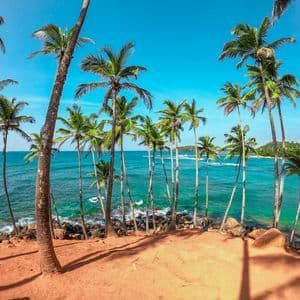 A view from a sandy, orange-colored bluff looking through tall palm trees at a turquoise ocean under a clear blue sky.