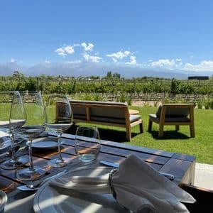 Una mesa puesta con platos y copas de vino, con vistas a un viñedo soleado y montañas en la distancia.