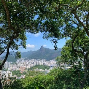Una extensa ciudad al pie de exuberantes montañas verdes, vista a través de un marco de ramas de árboles contra un cielo azul.
