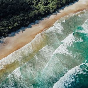 Una vista aérea de olas turquesas del mar rompiendo en una playa de arena, bordeada por un denso bosque verde.