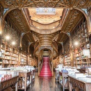 L'interno maestoso di una biblioteca sontuosa, con una scala curva in legno dai gradini rossi, circondata da altissimi scaffali.