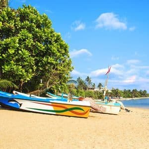 Colorful fishing boats rest on a sandy beach next to a large green tree, with the ocean and palm trees in the background under a blue sky.