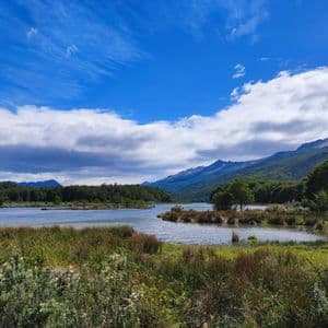 Una vista sul lago da una sponda erbosa, con foreste verdi e montagne sullo sfondo sotto un cielo azzurro parzialmente nuvoloso.