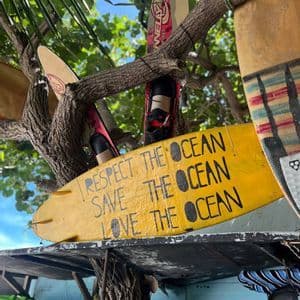 Una tavola da surf gialla con il messaggio 'Rispetta, Salva, Ama l'Oceano' è esposta su un albero insieme ad altra attrezzatura da surf.