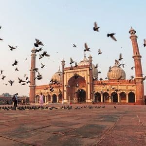 Uno stormo di piccioni sorvola l'ampio cortile in pietra di una moschea di arenaria rossa, con cupole e minareti.