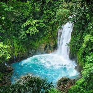 A waterfall cascades into a turquoise pool surrounded by a lush green rainforest.
