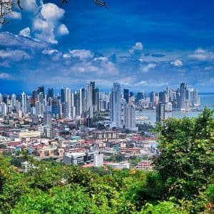 Un paesaggio urbano costiero con grattacieli ed edifici, visto da un'altura sopra alberi rigogliosi.