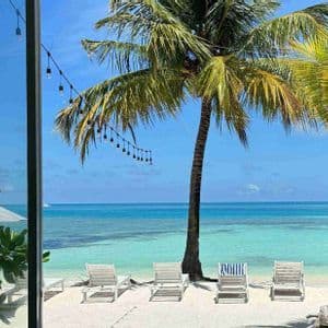 Una palma su una spiaggia tropicale con acqua turchese e un cielo azzurro con nuvole bianche.