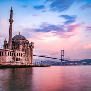 Una bandada de gaviotas vuela sobre el agua con un ferry, frente a un horizonte urbano con una gran mezquita y minaretes.