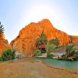Un oasis desértico con un arroyo turquesa, palmeras y vegetación verde anidado entre formaciones rocosas naranjas bañadas por el sol.