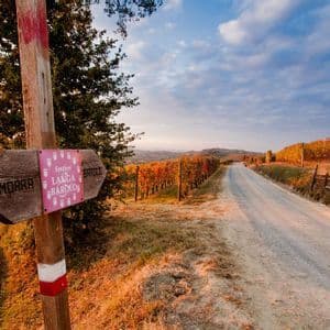 Un cartello in legno su una strada sterrata indica La Morra e Barolo, circondato da vigneti autunnali al tramonto.