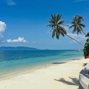 Deux palmiers se penchent sur une plage de sable blanc et une mer turquoise, avec des transats et un parasol orange au premier plan.
