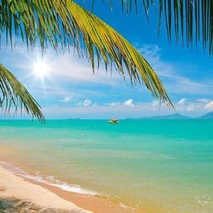 Une feuille de palmier surplombe une plage de sable, encadrant une vue sur une eau turquoise avec un petit bateau et des montagnes sous un ciel ensoleillé.