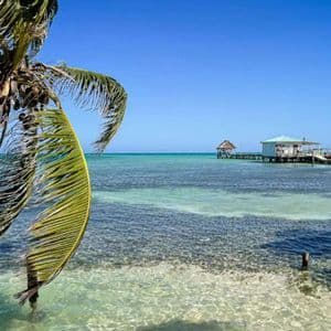 Une feuille de palmier surplombe une eau turquoise cristalline, avec une jetée en bois et des bungalows sur pilotis au loin sous un ciel bleu.