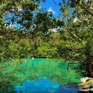 A WeRoad group trip swimming in a clear turquoise natural pool surrounded by lush green trees under a blue sky.