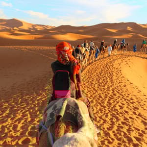 Un viaje en grupo de WeRoad en caravana de camellos sigue un camino sobre dunas de arena naranja iluminadas por el sol bajo un cielo azul.