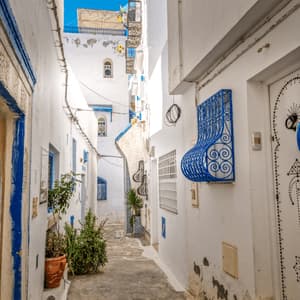 Un callejón estrecho con paredes encaladas, puertas azules y rejas de hierro azules ornamentadas bajo un cielo soleado.