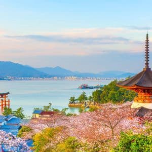 Un torii rosso si erge nel mare, con ciliegi in fiore e case tradizionali in primo piano e montagne in lontananza.