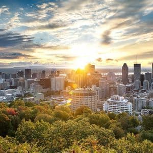 A modern city skyline with skyscrapers viewed from over a dense forest during a golden sunset under a partly cloudy sky.