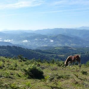 Un seul cheval brun broute sur une colline verdoyante, avec une vue panoramique sur des montagnes ondulantes s'étendant au loin.